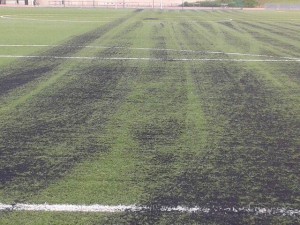 1240188_526848057384921_1433623651_n