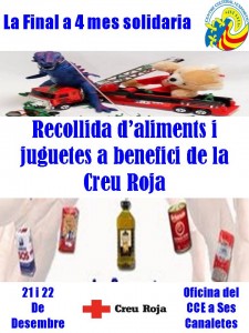 cartell campanya Solidaria