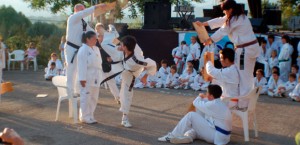 taekwondomarratxi