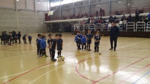 1796692_691276357562046_1949152921_n