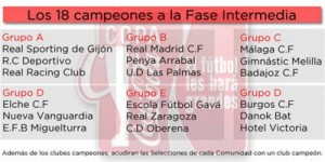 n_20140526111201_los_18_campeones_autonomicos_copa_coca_cola