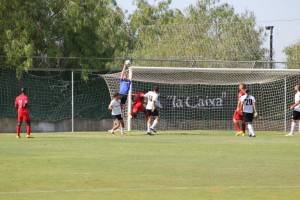 1234593_10152555854000605_1603394805360010032_n