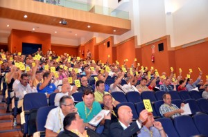 Asamblea-General-2013-FFIB051-1024x768