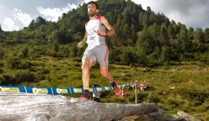 130727_castanyer_giir-di-mont