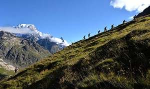 utmb13-tds-pt-05-0795