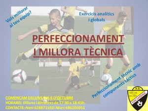 Cartell Tecnificacion