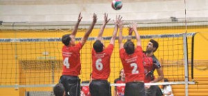 ldm018cd004205650manual