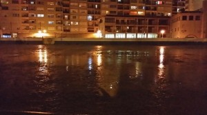 10942519_1547574372147276_1172575842376877566_n