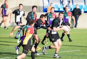 150221_toro-corsaris