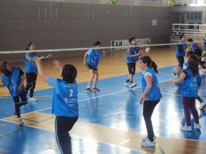 VOLEIBOL