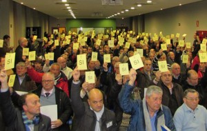 federacion-asturiana-2