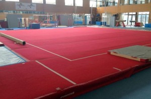 10982466_10152662961591059_4026262497330150594_n