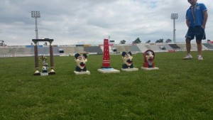 11133760_909313305758349_168366965041069666_n