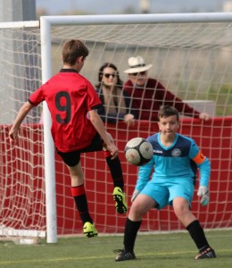 11156276_1567215243557081_7628898661989107013_n