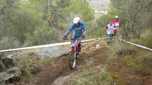 11169563_10152716777301059_8546517033122306827_o