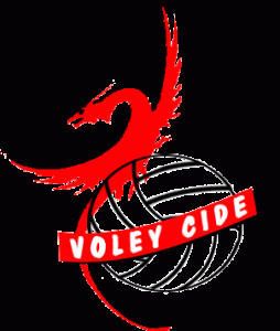 voley cide