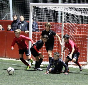 10418257_1654152554863349_5375017050447290420_n