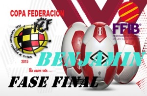 copa federacion 1