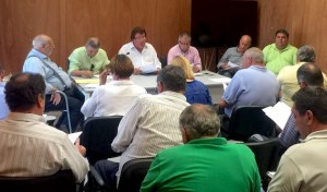 ffib comision delegada