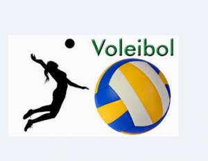 VOLEIBOL