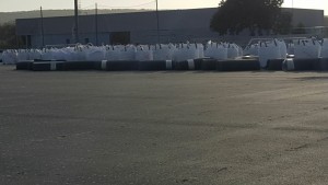 15777093_10210240286716886_2193950611640936246_o