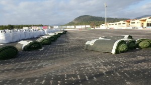 15844007_10210240285196848_4009965395187821505_o