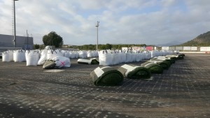 15844061_10210240283716811_1011264518854689587_o