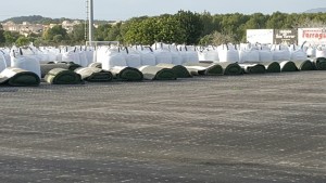 15895845_10210240285436854_618385010508539919_o