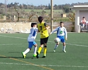 16508582_1280567148698123_2009053930836246397_n