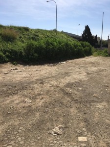 17201208_1310676815685743_7426653832881762142_n