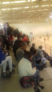 afición manacor