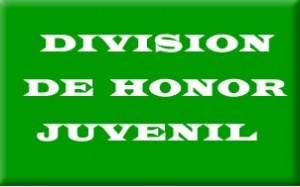 division-de-honor-juvenil1-300x187