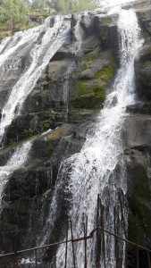 18057977_10211209627429798_6930519780735246601_n