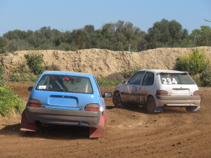 19032017164302891-300x225