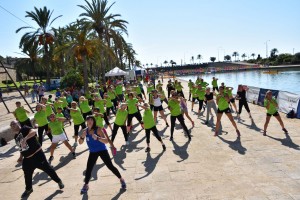 grup de manteniment IME