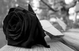 21151318_1532705506816205_9134957842993272499_n