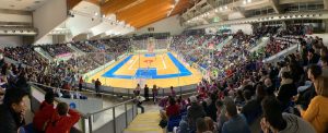 Ambiente-Palma-ElPozo-2