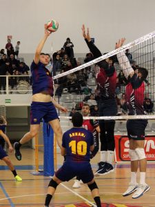 bar-pal01_b-imgEs20180121052219