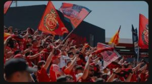 Screenshot_20240516_194635_Samsung Internet