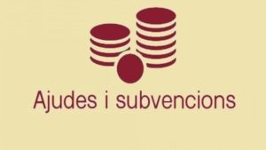 nueva_83D7D579-D9FF-43BA-A55E-74E2B913FEC9
