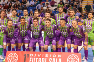 PALMA FS