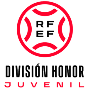 division de honor juvenil