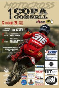 Cartel-Copa-Consell-121025