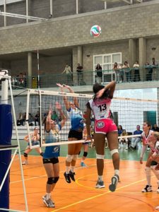 Mayurqa - Son Ferrer