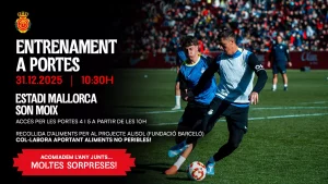 e3c12c4a-3d33-44fd-bdc5-042b94898c65-260