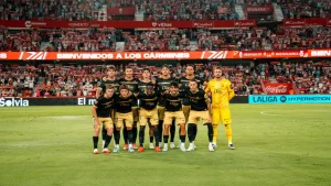 6a8d33cfcaf88